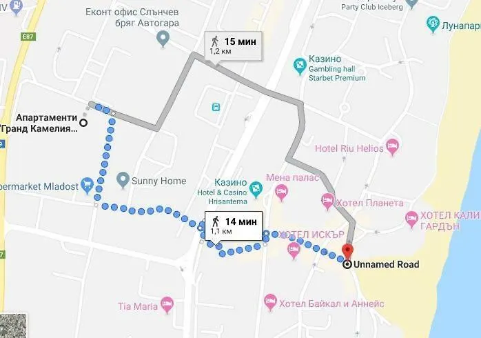 Grand Kamelia Slăntjev Brjag